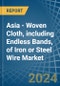 Asia - Woven Cloth, including Endless Bands, of Iron or Steel Wire - Market Analysis, Forecast, Size, Trends and Insights - Product Image