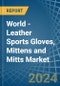 World - Leather Sports Gloves, Mittens and Mitts - Market Analysis, Forecast, Size, Trends and Insights - Product Image