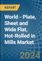 World - Plate, Sheet and Wide Flat, Hot-Rolled in Mills - Market Analysis, Forecast, Size, Trends and insights - Product Image