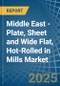 Middle East - Plate, Sheet and Wide Flat, Hot-Rolled in Mills - Market Analysis, Forecast, Size, Trends and insights - Product Thumbnail Image