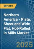 Northern America - Plate, Sheet and Wide Flat, Hot-Rolled in Mills - Market Analysis, Forecast, Size, Trends and insights- Product Image