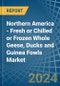 Northern America - Fresh or Chilled or Frozen Whole Geese, Ducks and Guinea Fowls - Market Analysis, Forecast, Size, Trends and Insights - Product Thumbnail Image