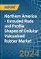 Northern America - Extruded Rods and Profile Shapes of Cellular Vulcanised Rubber - Market Analysis, Forecast, Size, Trends and Insights - Product Image