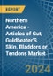Northern America - Articles of Gut, Goldbeater'S Skin, Bladders or Tendons - Market Analysis, Forecast, Size, Trends and Insights - Product Thumbnail Image
