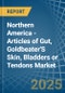 Northern America - Articles of Gut, Goldbeater'S Skin, Bladders or Tendons - Market Analysis, Forecast, Size, Trends and Insights - Product Image