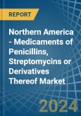 Northern America - Medicaments of Penicillins, Streptomycins or Derivatives Thereof - Market Analysis, Forecast, Size, Trends and Insights- Product Image