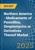 Northern America - Medicaments of Penicillins, Streptomycins or Derivatives Thereof - Market Analysis, Forecast, Size, Trends and Insights- Product Image