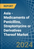 Asia - Medicaments of Penicillins, Streptomycins or Derivatives Thereof - Market Analysis, Forecast, Size, Trends and Insights- Product Image