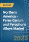 Northern America - Ferro-Cerium and Pyrophoric Alloys - Market Analysis, Forecast, Size, Trends and Insights - Product Thumbnail Image