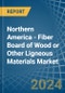 Northern America - Fiber Board of Wood or Other Ligneous Materials - Market Analysis, Forecast, Size, Trends and Insights - Product Thumbnail Image