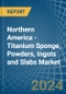 Northern America - Titanium Sponge, Powders, Ingots and Slabs - Market Analysis, Forecast, Size, Trends and Insights - Product Image