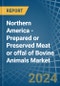 Northern America - Prepared or Preserved Meat or offal of Bovine Animals - Market Analysis, Forecast, Size, Trends and Insights - Product Image