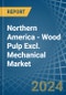 Northern America - Wood Pulp Excl. Mechanical - Market Analysis, Forecast, Size, Trends and Insights - Product Thumbnail Image