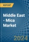Middle East - Mica - Market Analysis, Forecast, Size, Trends and Insights - Product Thumbnail Image