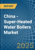 China - Super-Heated Water Boilers - Market Analysis, Forecast, Size, Trends and Insights- Product Image