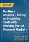 Northern America - Boring or Broaching Tools with Working Part of Diamond - Market Analysis, Forecast, Size, Trends and Insights - Product Image