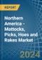 Northern America - Mattocks, Picks, Hoes and Rakes - Market Analysis, Forecast, Size, Trends and Insights - Product Thumbnail Image