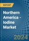 Northern America - Iodine - Market Analysis, Forecast, Size, Trends and Insights - Product Thumbnail Image
