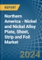 Northern America - Nickel and Nickel Alloy Plate, Sheet, Strip and Foil - Market Analysis, Forecast, Size, Trends and Insights - Product Image
