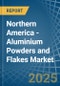 Northern America - Aluminium Powders and Flakes - Market Analysis, Forecast, Size, Trends and Insights - Product Thumbnail Image