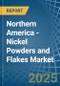 Northern America - Nickel Powders and Flakes - Market Analysis, Forecast, Size, Trends and Insights - Product Thumbnail Image