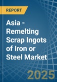 Asia - Remelting Scrap Ingots of Iron or Steel - Market Analysis, Forecast, Size, Trends and Insights- Product Image