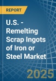 U.S. - Remelting Scrap Ingots of Iron or Steel - Market Analysis, Forecast, Size, Trends and Insights- Product Image