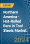 Northern America - Hot-Rolled Bars in Tool Steels - Market Analysis, Forecast, Size, Trends and insights - Product Thumbnail Image