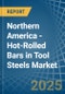 Northern America - Hot-Rolled Bars in Tool Steels - Market Analysis, Forecast, Size, Trends and insights - Product Thumbnail Image