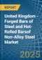 United Kingdom - Forged Bars of Steel and Hot-Rolled Barsof Non-Alloy Steel - Market Analysis, Forecast, Size, Trends and Insights - Product Image