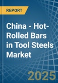China - Hot-Rolled Bars in Tool Steels - Market Analysis, Forecast, Size, Trends and insights- Product Image