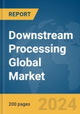 Downstream Processing Global Market Report 2024- Product Image