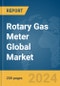Rotary Gas Meter Global Market Report 2024 - Product Thumbnail Image