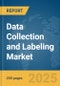 Data Collection and Labeling Market Report 2025 - Product Image