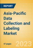 Asia-Pacific (APAC) Data Collection and Labeling Market Summary, Competitive Analysis and Forecast to 2027- Product Image