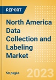 North America Data Collection and Labeling Market Summary, Competitive Analysis and Forecast to 2027- Product Image
