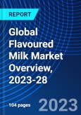 Global Flavoured Milk Market Overview, 2023-28- Product Image