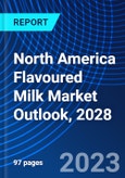 North America Flavoured Milk Market Outlook, 2028- Product Image