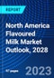 North America Flavoured Milk Market Outlook, 2028 - Product Thumbnail Image