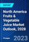 North America Fruits & Vegetable Juice Market Outlook, 2028 - Product Image