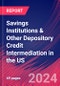 Savings Institutions & Other Depository Credit Intermediation in the US - Market Research Report (2014-2029) - Product Thumbnail Image