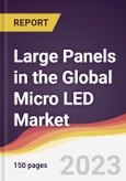 Large Panels in the Global Micro LED Market: Trends, Opportunities and Competitive Analysis 2023-2028- Product Image
