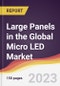Large Panels in the Global Micro LED Market: Trends, Opportunities and Competitive Analysis 2023-2028 - Product Image