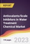 Antiscalants/Scale Inhibitors in Water Treatment Chemical Market: Trends, Opportunities and Competitive Analysis 2023-2028 - Product Image