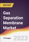 Gas Separation Membrane Market: Trends, Opportunities and Competitive Analysis 2023-2028 - Product Image