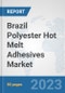 Brazil Polyester Hot Melt Adhesives Market: Prospects, Trends Analysis, Market Size and Forecasts up to 2030 - Product Thumbnail Image