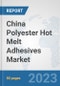 China Polyester Hot Melt Adhesives Market: Prospects, Trends Analysis, Market Size and Forecasts up to 2030 - Product Thumbnail Image