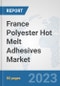 France Polyester Hot Melt Adhesives Market: Prospects, Trends Analysis, Market Size and Forecasts up to 2030 - Product Thumbnail Image