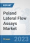Poland Lateral Flow Assays Market: Prospects, Trends Analysis, Market Size and Forecasts up to 2030 - Product Thumbnail Image