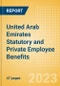 United Arab Emirates (UAE) Statutory and Private Employee Benefits (including Social Security) - Insights into Statutory Employee Benefits such as Retirement Benefits, Long-term and Short-term Sickness Benefits, Medical Benefits as well as Other State and Private Benefits 2023 - Product Image